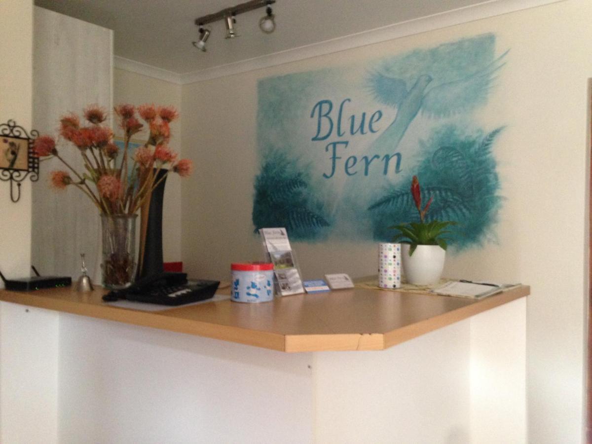 Blue Fern Of Knysna Bed and Breakfast Eksteriør billede
