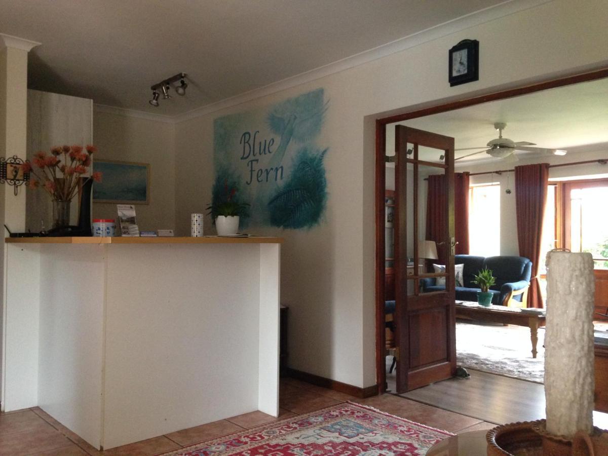 Blue Fern Of Knysna Bed and Breakfast Eksteriør billede