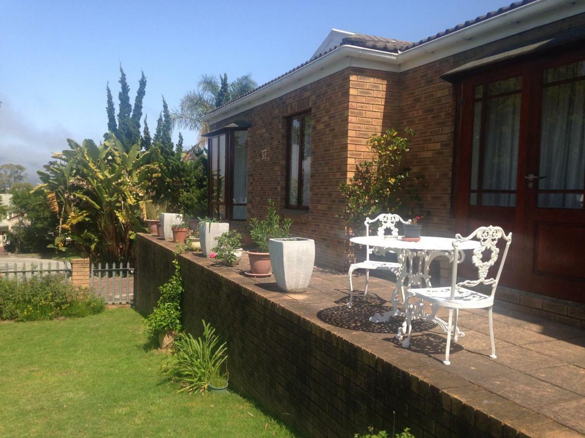 Blue Fern Of Knysna Bed and Breakfast Eksteriør billede